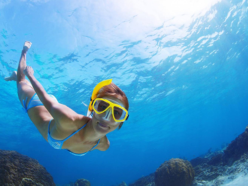 Bonaire Leeward Antilles Speedboat Snorkel Tour Reviews