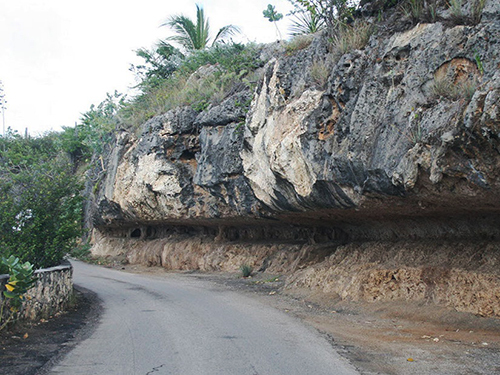 Bonaire Leeward Antilles Slave Huts Sightseeing Excursion Reviews