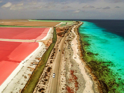 Bonaire Salt Flats Sightseeing Shore Excursion Tickets