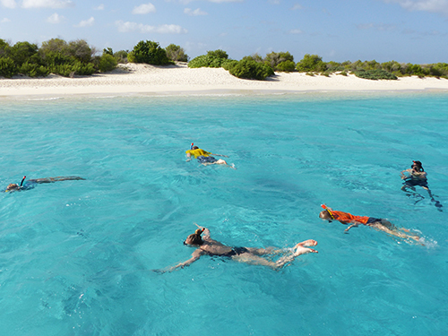 Bonaire Family Snorkel Tour Reviews
