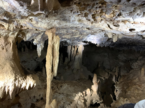 Bonaire Leeward Antilles Cave Exploration Trip Tickets