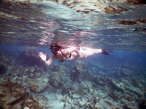 Bonaire Leeward Antilles Speedboat Snorkel Trip Reservations