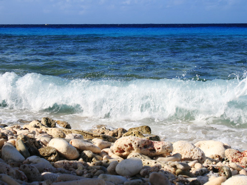 Bonaire Pink Lagoon Sightseeing Shore Excursion Reviews