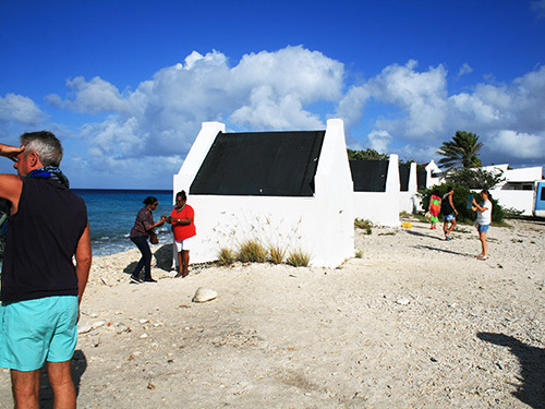 Bonaire Leeward Antilles Sorobon Beach Sightseeing Cruise Excursion Booking