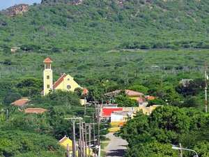Bonaire Rincon Village and Cadushy Distillery Excursion with Local Guide