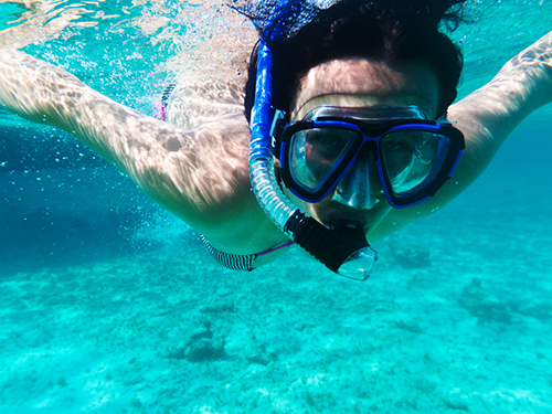 Bonaire Leeward Antilles Marine Park Snorkel Trip Booking