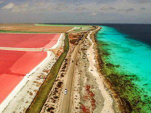 Bonaire South Side Island Sightseeing Excursion with Local Guide