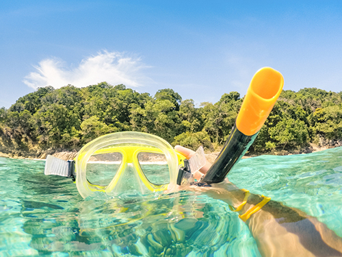 Bonaire Drinks Snorkel Excursion Cost