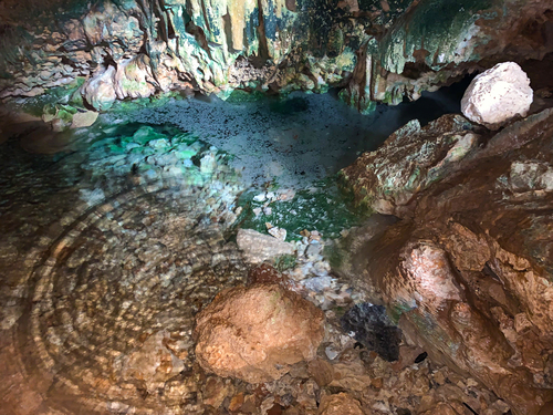 Bonaire Dry Caves Tour Booking