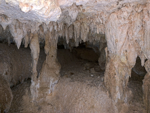 Bonaire Leeward Antilles Walking Excursion Booking