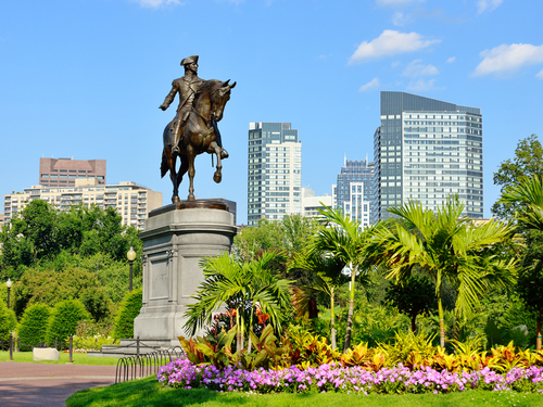 Boston trolley Tour Reviews