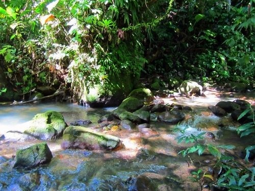 Dominica hiking Trip Reservations