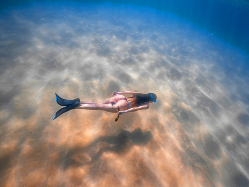 Cabo San Lucas 2 Bay Guided Snorkel Excursion