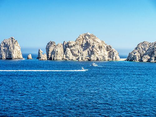 Cabo San Lucas Seniors Whale Watching Tour Reviews