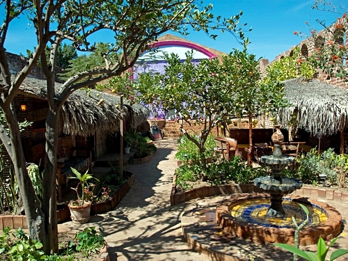 Cabo San Lucas Jeep Sightseeing Excursion to Todos Santos Magic Town with Lunch