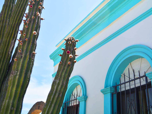 Cabo San Lucas Jeep Sightseeing Excursion to Todos Santos Magic Town with Lunch