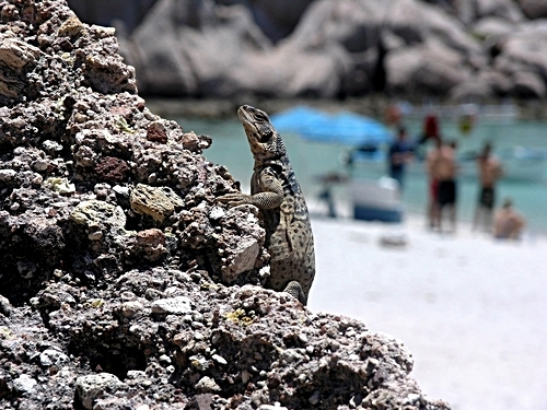 Cabo San Lucas Land's End Kayak and Snorkel Excursion