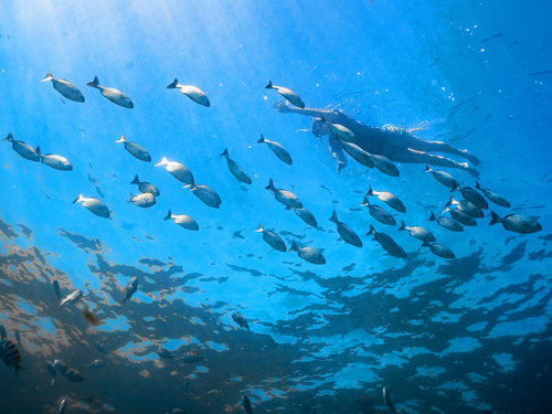 Cabo San Lucas Land's End Kayak and Snorkel Excursion