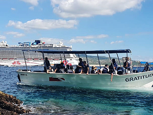 Cabo San Lucas Mexico Family Whale Watching Cruise Excursion Booking