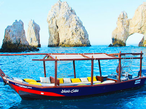 Cabo San Lucas Mexico Wild Life Sightseeing Excursion Reservations
