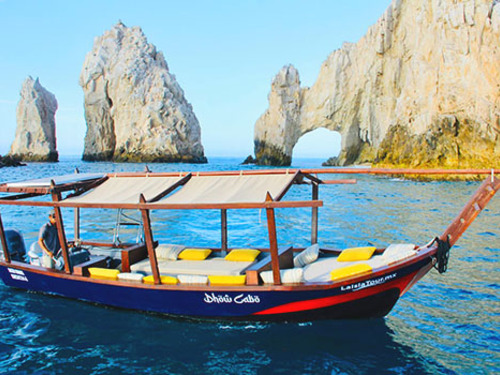 Cabo San Lucas Mexico Sea Lion Colony Sightseeing Trip Prices