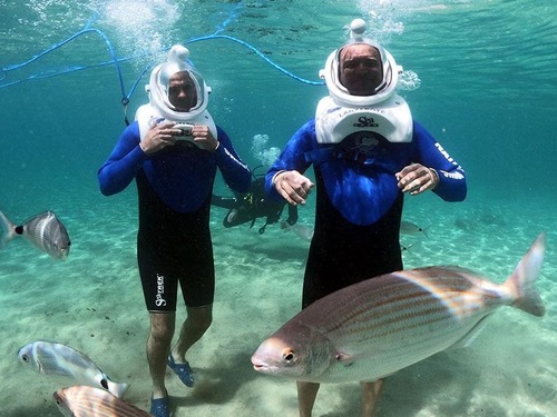 Cabo San Lucas Sea Trek Adventure Excursion 