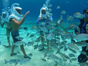 Cabo San Lucas Sea Trek Adventure Excursion 