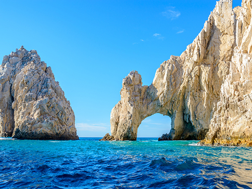 Cabo San Lucas Seniors Whale Watching Shore Excursion Cost