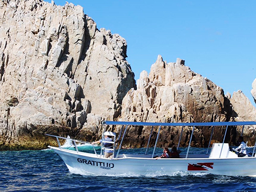 Cabo San Lucas Friends Whale Watching Trip Tickets