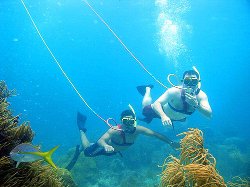 Cabo San Lucas Snuba Experience Excursion