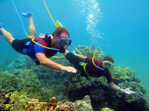 Cabo San Lucas Snuba Experience Excursion