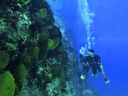 Cabo San Lucas Snuba Experience Excursion