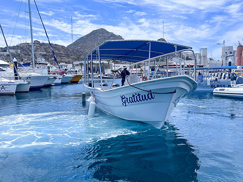 Cabo San Lucas Lands End Sightseeing Boat Tour Reservations