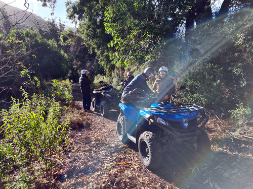 Cagliari Sardinian Mountains Excursion Reviews