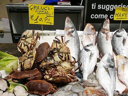 Cagliari Sardinia Castello Cruise Excursion Reviews