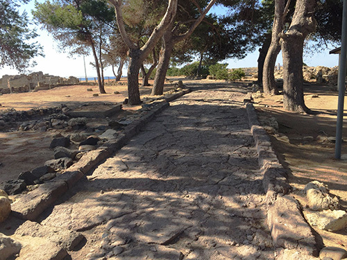 Cagliari Sardinia Walking Cruise Excursion Reservations