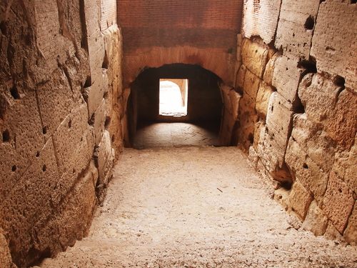 Civitavecchia Piazza Navona Tour Reservations