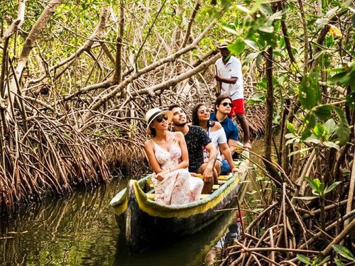 Cartagena Canoe Mangrove Ride Excursion