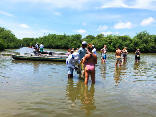 Cartagena Canoe Mangrove Ride Excursion