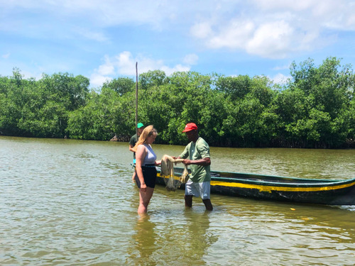 Cartagena Canoe Mangrove Ride Excursion