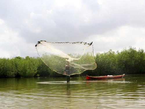 Cartagena Canoe Mangrove Ride Excursion