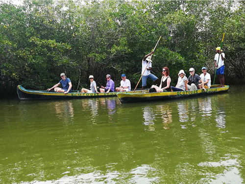 Cartagena Canoe Mangrove Ride Excursion