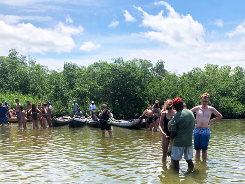 Cartagena Canoe Mangrove Ride Excursion