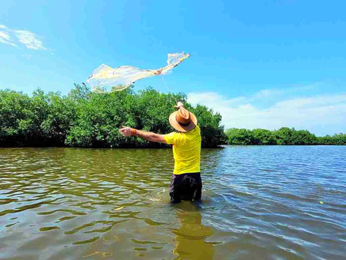 Cartagena Canoe Mangrove Ride Excursion