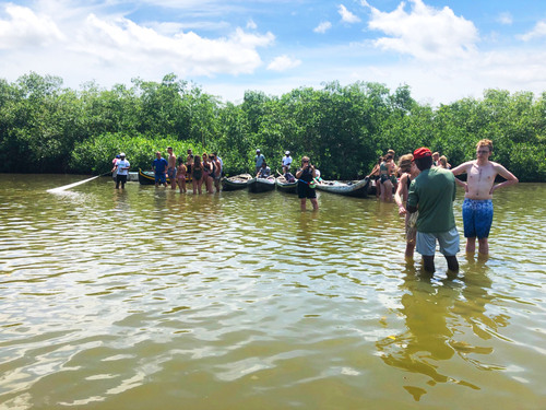 Cartagena Canoe Mangrove Ride Excursion