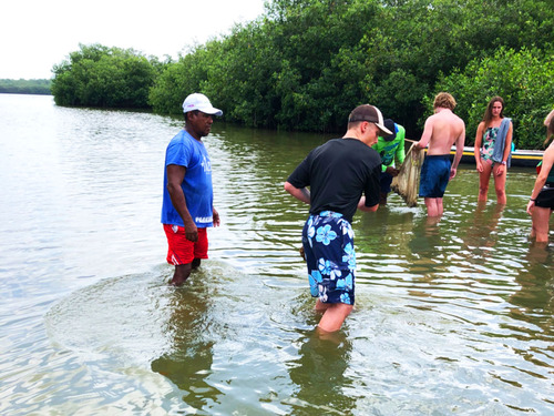 Cartagena Canoe Mangrove Ride Excursion