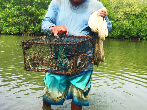 Cartagena Canoe Mangrove Ride Excursion