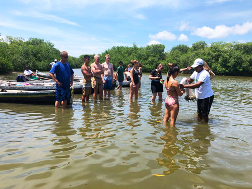 Cartagena Canoe Mangrove Ride Excursion