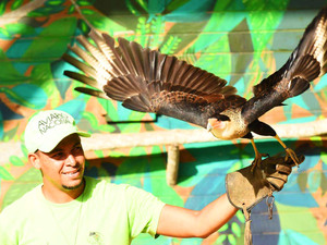 Cartagena Private National Aviary of Colombia Excursion 