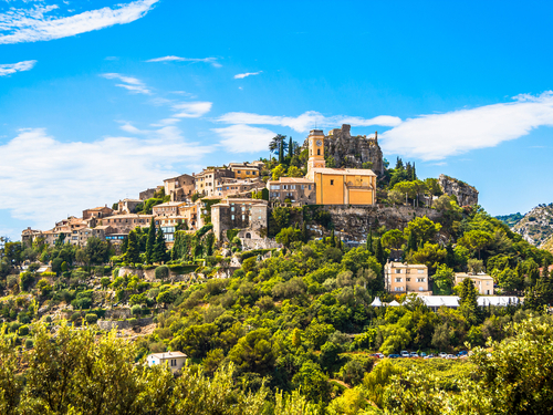 Nice (Villefranche)  France Prince Palace Cruise Excursion Tickets